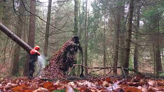 Windwurf Hänger zu Brennholz aufarbeiten [upl. by Lewls]