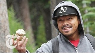 Matsutake Mushroom Hunting in Oregon  2013  The New York Times [upl. by Dnaltiak]