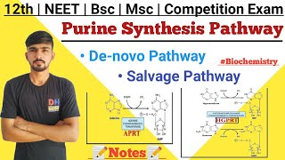 Biosynthesis Of Purine  Purine Synthesis By Salvage Pathway  Biochemistry  By Dadhich Sir [upl. by Grimonia]