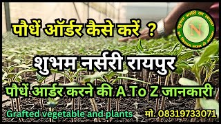 पौधें ऑर्डर करने की A to Z जानकारी। शुभम नर्सरी रायपुर Complete information on ordering plants [upl. by Hras832]