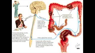 Constipation and the Colon  Mayo Clinic [upl. by Tnomad955]