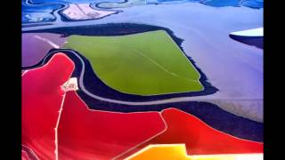 Multicolored Salt Ponds at San Francisco Bay HD 2024 [upl. by Ronel]