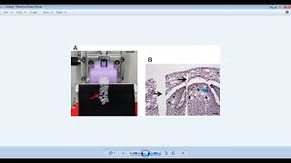 histochemistry 3 preparation of tissue sectioning and CHO histochemistry part 1 [upl. by Seem]