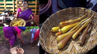 சுவையான பனங்கிழங்கு 👌👉 Palmyra Sprout Recipe In Our Traditional House🌺Panakilangu Avippathu Eppadi [upl. by Akienaj]