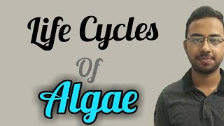 Life Cycles of algae with diagram  diplontic haplontic and haplodiplontic isomorphic lifecycle [upl. by Imalda561]