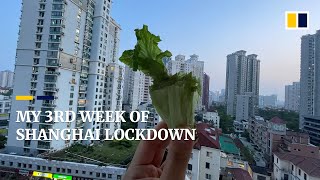 My take living under Shanghai’s Covid19 lockdown [upl. by Ruben]