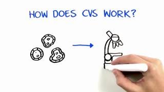 Chorionic Villus Sampling CVS [upl. by Imit]