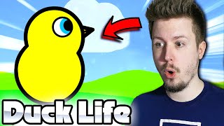 🐤 Trenuję KACZUSZKĘ do WYŚCIGÓW w DUCK LIFE 1 [upl. by Mulderig]