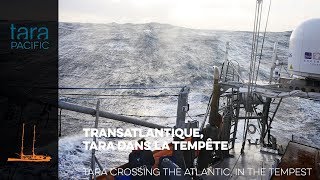 Tara Pacific Transatlantique  Tara dans la tempête  Atlantic crossing  Tara in the tempest [upl. by Eitra403]