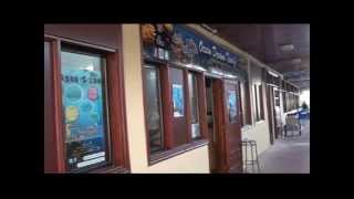 Centro de Buceo OCEAN DREAMS TENERIFE [upl. by Donela]