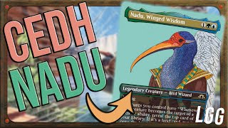 Nadu Winged Wisdom Combos with Lands  Live Deck Tech amp Playtesting  MTG Commander EDH CEDH [upl. by Plato]