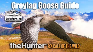 Greylag Goose Guide  Sundarpatan Nepal  theHunter Call of the wild [upl. by Weingarten]