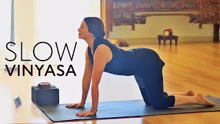 45 Minute Hatha Yoga Flow Slow Vinyasa [upl. by Vitus]