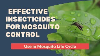 Mosquito Control Methods Natural Repellents amp Effective Insecticides [upl. by Oigimer]