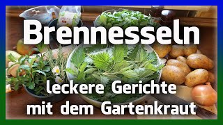 Lecker und gesund Brennnesseln aus dem Garten [upl. by Hutner]