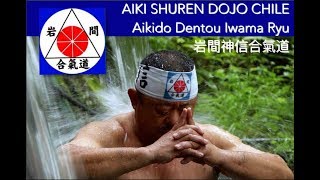 Aikido Dento Iwama Ryu [upl. by Gauntlett323]