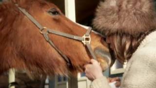 Cate Le Bon quotShoeing The Bonesquot official video [upl. by Acired]