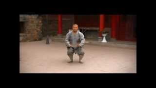 Di Gong Jia Quan 低功架拳 [upl. by Nissy]