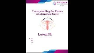 Understanding the Phases of Menstrual Cycle [upl. by Norm]