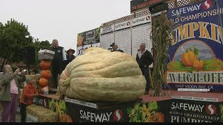 Massive 2560pound pumpkin sets new US record for Halloween 2022 [upl. by Edaj4]