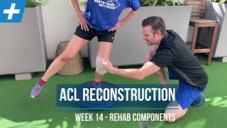 ACL Reconstruction Surgery  Week 14 Rehab Components  Tim Keeley  Physio REHAB [upl. by Siskind]