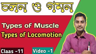 Movement and locomotion in Bengali  Types of Muscle  Types of Locomotion in Bengali  Class 11 [upl. by Odessa181]