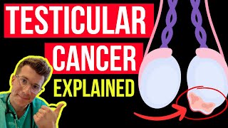 Doctor explains SYMPTOMS of TESTICULAR CANCER plus treatment options [upl. by Nettie]