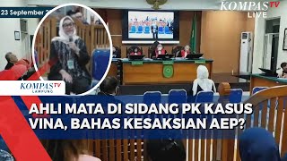 Sidang PK Terpidana Vina Ahli Mata Jelaskan Soal Batas Penglihatan Manusi [upl. by Llehsal836]