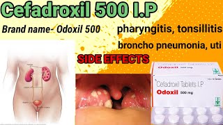 cefadroxil 500 ip  Odoxil 500 mg tablet pharyngitis tonsillitis bronchopneumonia uti infection [upl. by Ladnor]