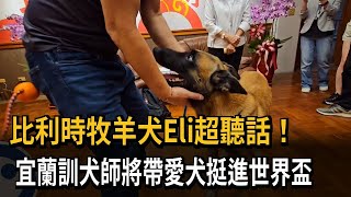 比利時牧羊犬Eli超聽話！ 宜蘭訓犬師將帶愛犬挺進世界盃－民視新聞 [upl. by Shae]