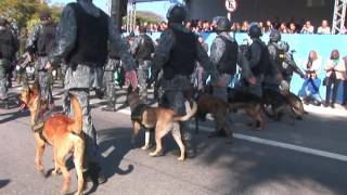 9 de Julho de 2016 Aniversário da Revolução Constitucionalista de 1932  desfile de tropas [upl. by Haseena]