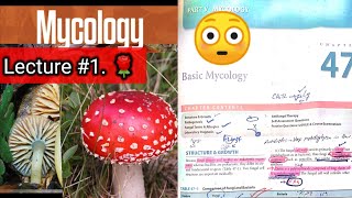 Basic mycology 🛑 LECTURE 1 Chap 47 Difference between fungi and bacteria hyphaeyt Lab diagnosis [upl. by Pathe]