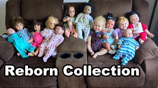 My Reborn Doll Collection 2024 [upl. by Colwen898]