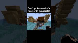 whats heavier in minecraft minecraft mcyt shorts jimdoga [upl. by Eiramnerual]