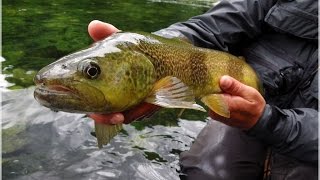 Flyfishing Slovenia forever [upl. by Kyriako49]