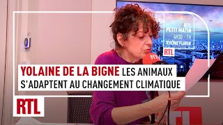 Yolaine de la Bigne  les animaux sadaptent au changement climatique intégrale [upl. by Burley]