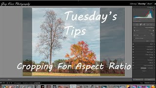 Tuesdays Tips Cropping for Aspect Ratio [upl. by Einaffyt709]