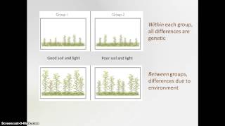 Heritability [upl. by Arvonio470]