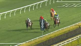 Royal Randwick Saturday 27 July 2024 Race 6 [upl. by Auqinal266]