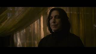 Snape is The Worst Owl Ever  4K Scene [upl. by Ecnerwaled246]