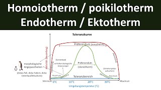 Homoiotherm gleichwarm  poikilotherm wechselwarm  endotherm bzw ektotherm Ökologie Teil 4 [upl. by Gabie]