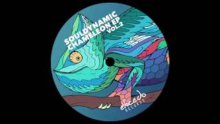 Souldynamic  Akinesia Chameleon EP Vol2  Excedo Records [upl. by Enitnemelc194]