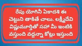 రేపు యోగినీ ఏకాదశి ఈ చెట్టుని తాకితే చాలు లక్ష్మీదేవి విష్ణుమూర్తితో సహా మీ ఇంటికి వస్తుంది [upl. by Levania]