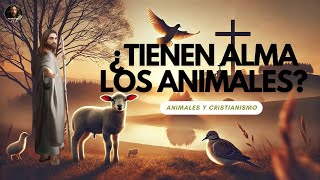 ¿Tienen Alma los Animales Según la Biblia  ¿Van al Cielo Cristianismo y los Animales [upl. by Sherwin158]