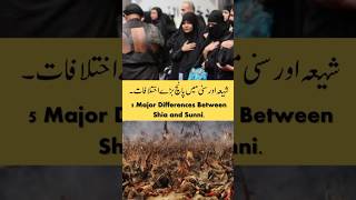 Shia VS Sunni  شیعہ اور سنی فرقہ میں اختلاف 6 بنیادی جڑیں  Sunni VS Shia Differences shiavssunni [upl. by Cornall]