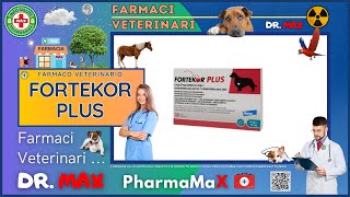 🐶 FORTEKOR PLUS Farmaco Veterinario a cosa serve   Foglietto Illustrativo 👔 Dr MAX [upl. by Fleisher]