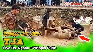 reog TJA turonggo jati anom ngobo  reog tja ngobo live desa ngobo wringin putih [upl. by Em]