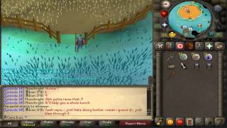 Iron men Tips and tricks episode 4 Puro Puro force spawning dragon implings [upl. by Elleira479]