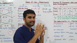 Ch22 Lec21 Comparison of chromosomal determination sex bw Human and Drosophila Fruit fly [upl. by Ecnedac]