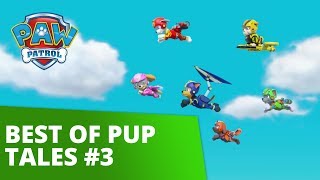 PAW Patrol  Best of Pups Tales 3  Rescue Episode Compilation [upl. by Nalced]